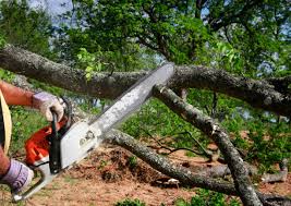 Best Grass Overseeding  in Oologah, OK