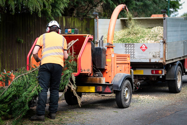 Best Tree Cabling and Bracing  in Oologah, OK