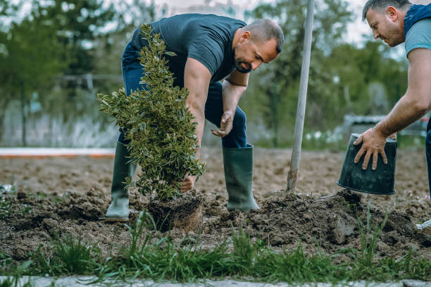 Best Weed Control  in Oologah, OK