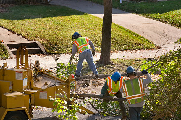 Best Tree Trimming and Pruning  in Oologah, OK