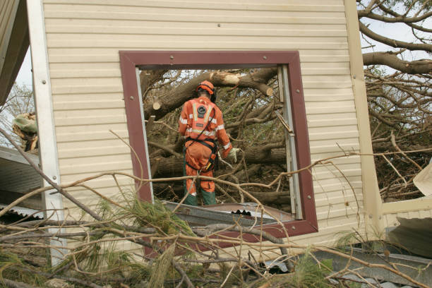 Best Tree Preservation Services  in Oologah, OK