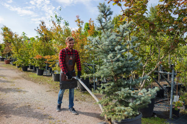 Trusted Oologah, OK Tree Care Services Experts